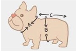 Dog Jacket with Mickey Mouse Ear Style hood and Ribbon - Puffer Style - Baby Pink / Red