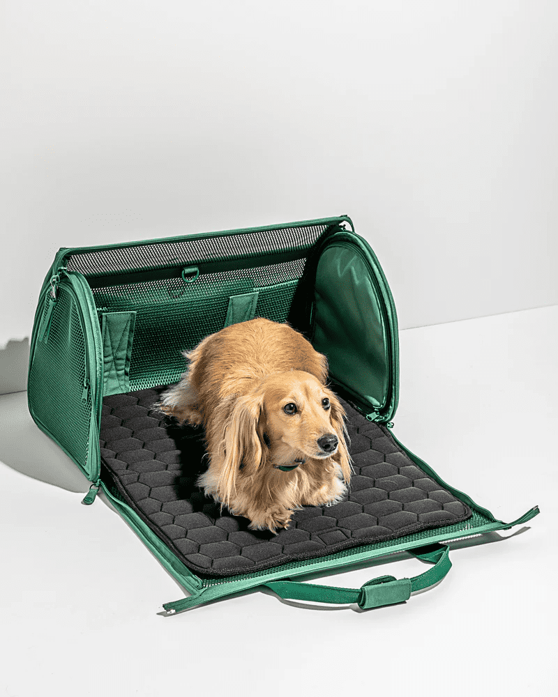 Wild One Airline Approved Travel Carrier for Dogs / Cats - Image 2
